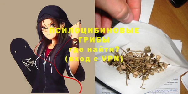 синтетический гашиш Богородицк