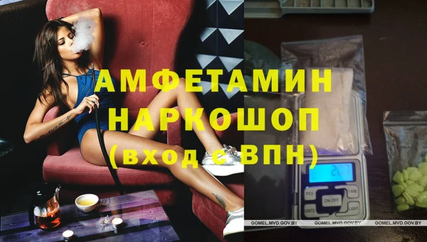 шишки Беломорск