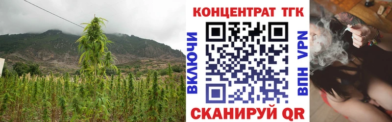 Дистиллят ТГК концентрат  площадка Telegram  Курильск  купить закладку  KRAKEN зеркало 