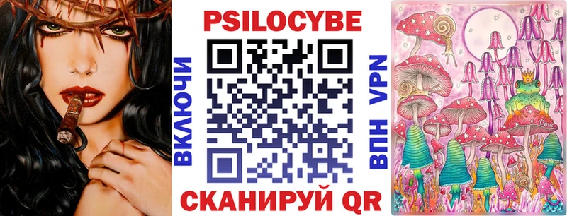 Псилоцибиновые грибы Cubensis хочу наркоту Курильск